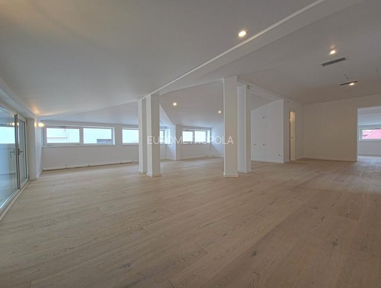 Vila recent renovata Dorobanti - 12