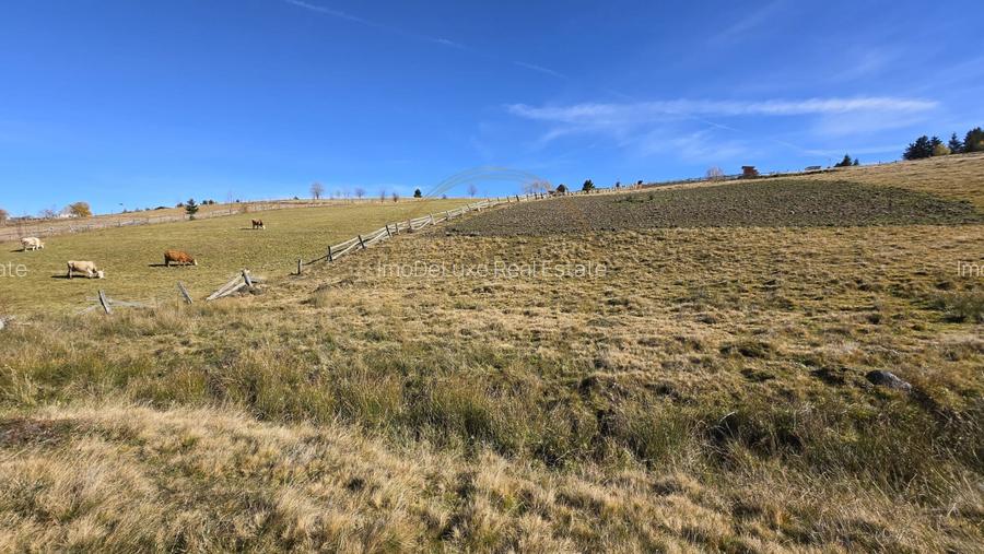 Teren extravilan, 4130mp, cu parau, la 500m de Primaria Marisel - 10