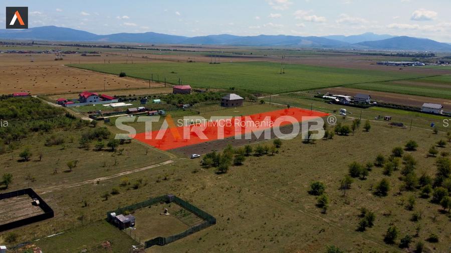 Teren intravilan Livada Sanpetru - 3