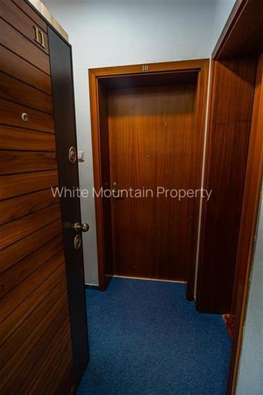 Apartament 2 camere, inchiriere lunga durata, Herastrau - 27