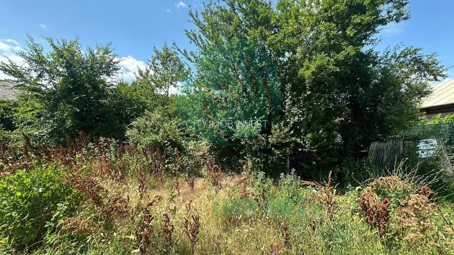 Teren 16534 mp pentru dezvoltare rezidențială, Siliștea Snagovului - 7