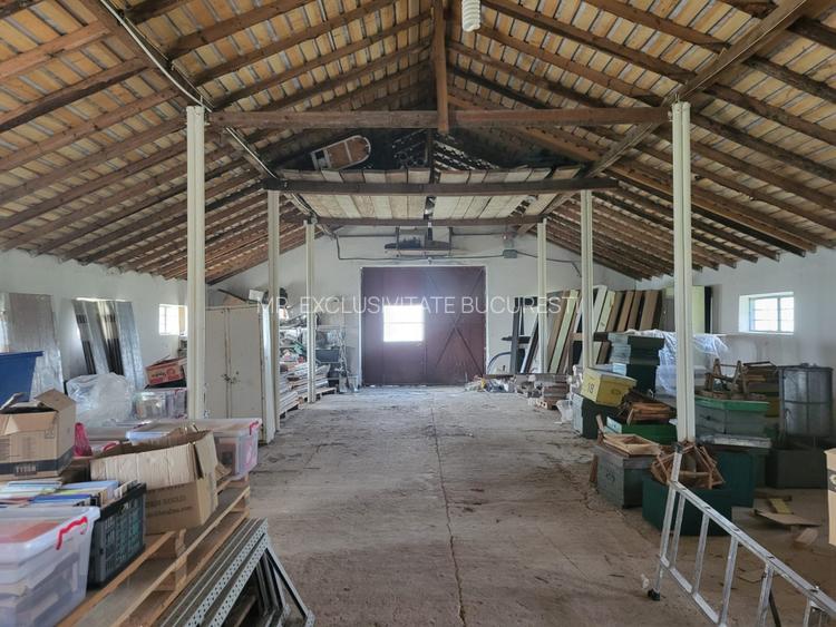 HALĂ INDUSTRIALĂ DE VÂNZARE – DB, CĂTUNU (TVA inclus) - 5