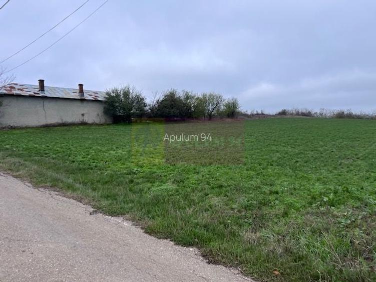 Teren Comana- strada Funieru. - 4