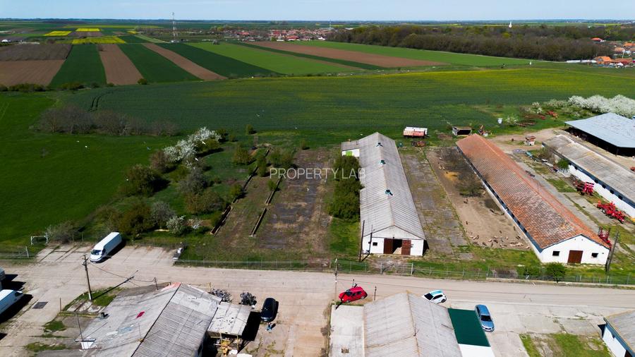 Spațiu depozitare 734mp și teren de 7.844mp Macea - 2