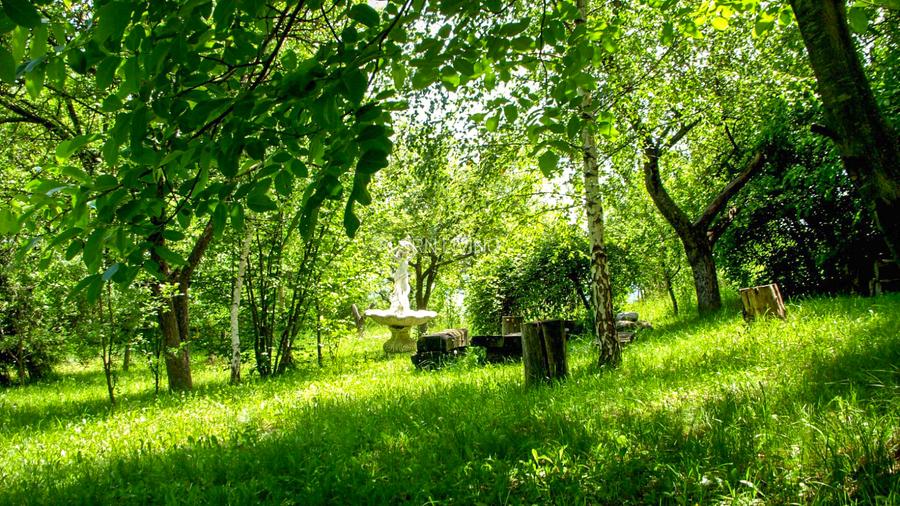 Domeniu exclusivist cu izvor propriu – Cheile Turzii / Munții Apuseni - 8