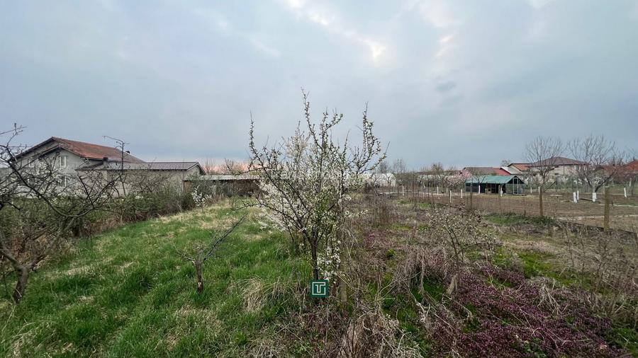 Teren intravilan generos de vânzare în Recaș - 2