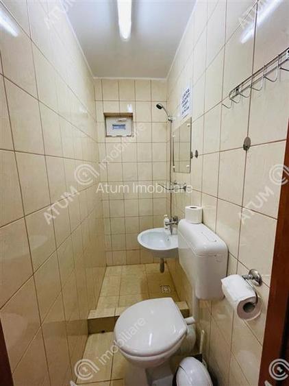 Casa de vacanta/Cabana cu 8 camere de vanzare in Paltinis - 13