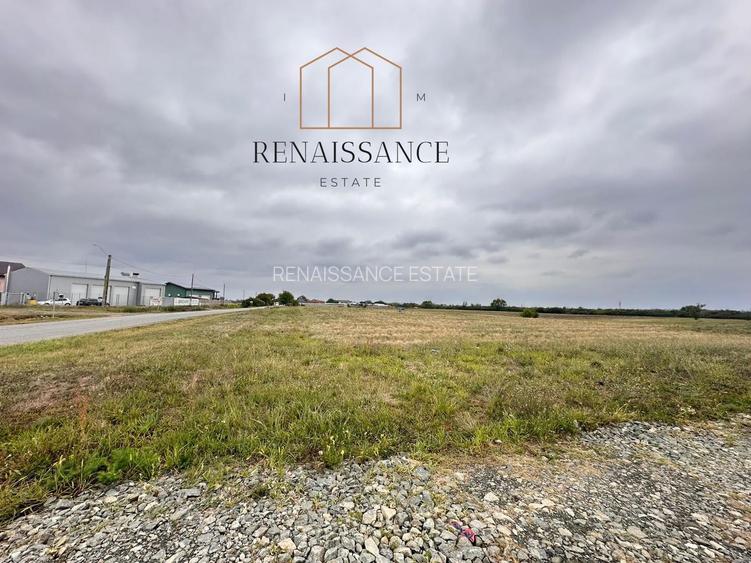 Mosnita Noua Teren 10.000mp | Front 63m | La asfalt - Zona de Case - 5