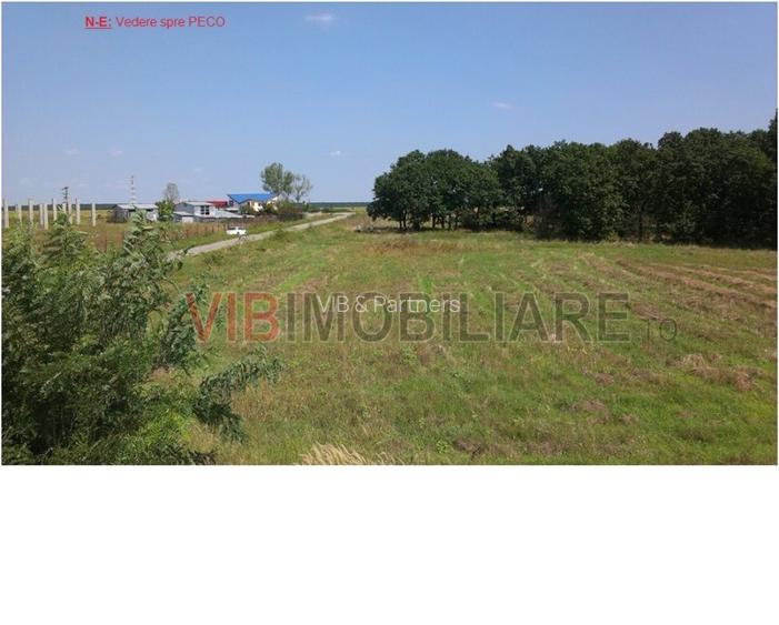 Craiova | Teren 17.400 mp | Deschidere 350 ml la DJ 552A | Între păduri de steja - 3