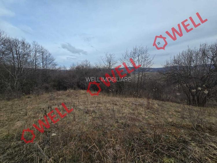 De vânzare teren parțial intravilan  în Sărămaș, pe punctul numit ,,La Cuptor,, - 6