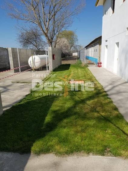 AFACERE LA CHEIE  FERMA DE  PORCI - 3