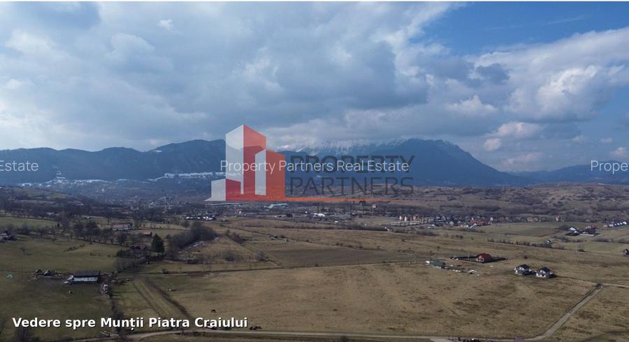 Teren intravilan 1.495 mp | Bran- Tohanul Nou | Vedere Bucegi | Deschidere 45 m - 8