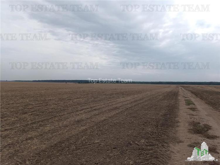 Oferim spre vanzare 6 loturi de teren extravilan (agricol) in Petrachioaia ILFOV - 5