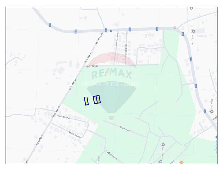 Teren de vânzare – Paleu, județul Bihor | 3 parcele a câte 618 mp - 3