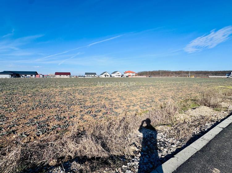 Teren Ciofliceni lângă pădure,Utilități complete Comision 0 - 5