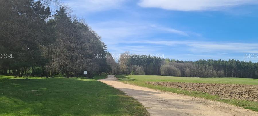 TEREN AGRICOL EXTRAVILAN - RECI - COVASNA - 6