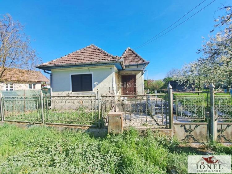 Casa de vanzare in Lunca Muresului - Gura Ariesului - 2