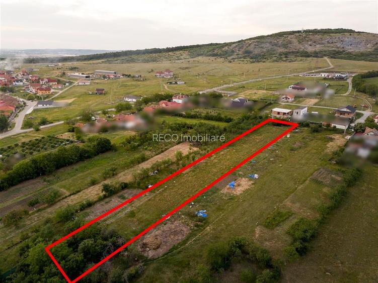 RECO Teren intravilan de vanzare Betfia, Bihor - 3000 mp, front stradal 20 m - 7