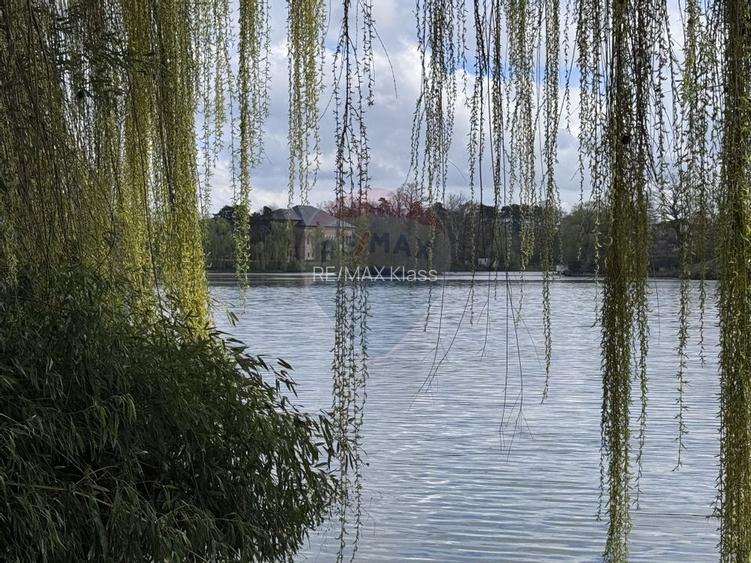 Casa / Vila cu 8 camere de vanzare - 9