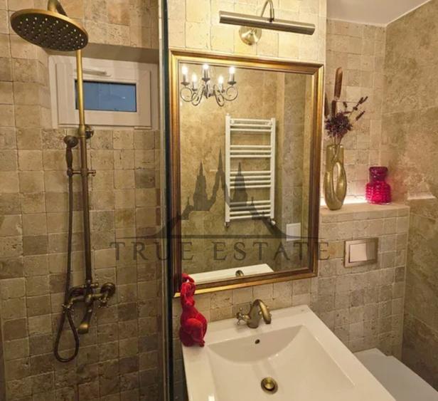 Apartament cu 2 camere, cochet si renovat complet, langa Piata Victoriei