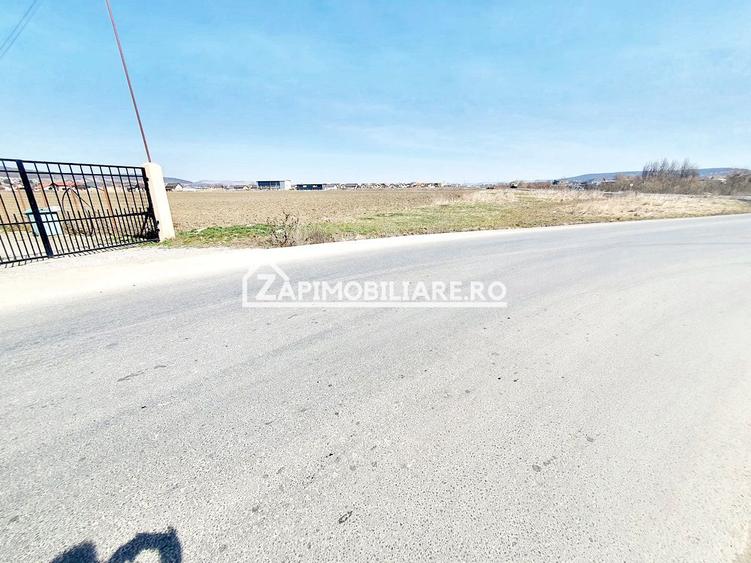 Teren 27.000 mp.deschidere la 2 drumuri ,75 euro mp.
