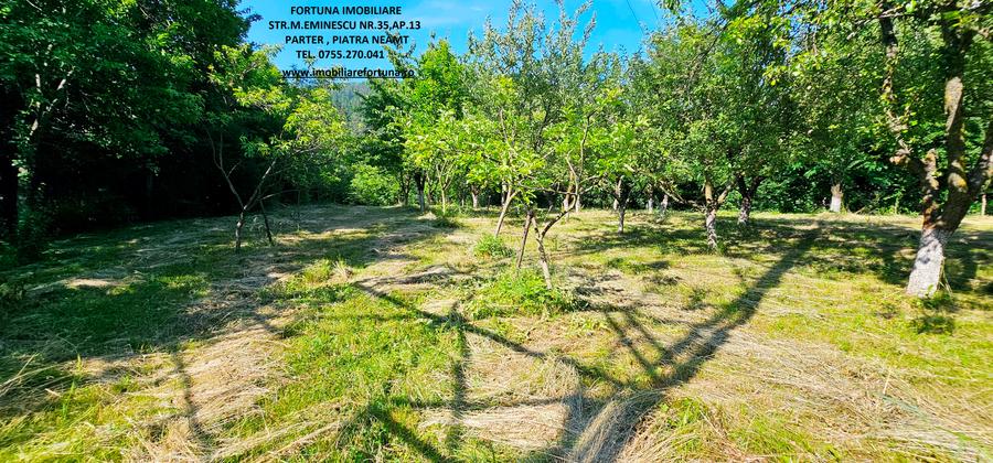 Vila P+1+5600 mp teren, proprietate de 5 km de oras