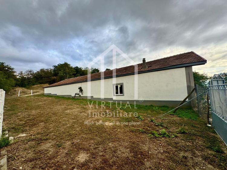 2 hale/depozite, 1850mp, deschidere 35m - Vestem