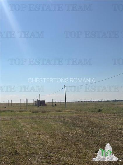 Teren intravilan 1000 m.p in 23 August , Dulcesti , cu proiect pensiune - 5