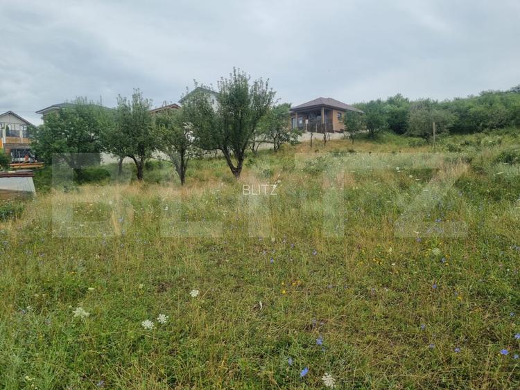Teren 500 mp cu priveliște spre oraș, disponibil și parcelat, Bistrita - 15