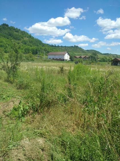 Vand teren intravilan Livezeni,900mp,drum privatla 100 m de strada principala.