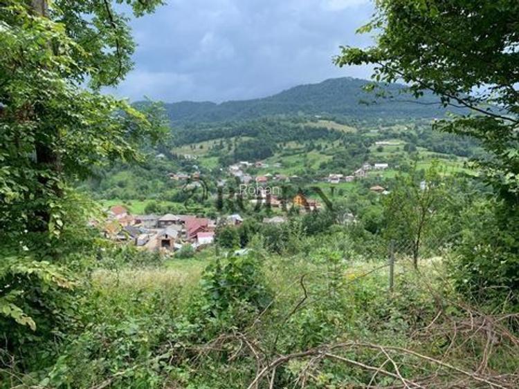 Teren intravilan 5360mp Bistrita Nasaud | Tiha Bârgăului - 4