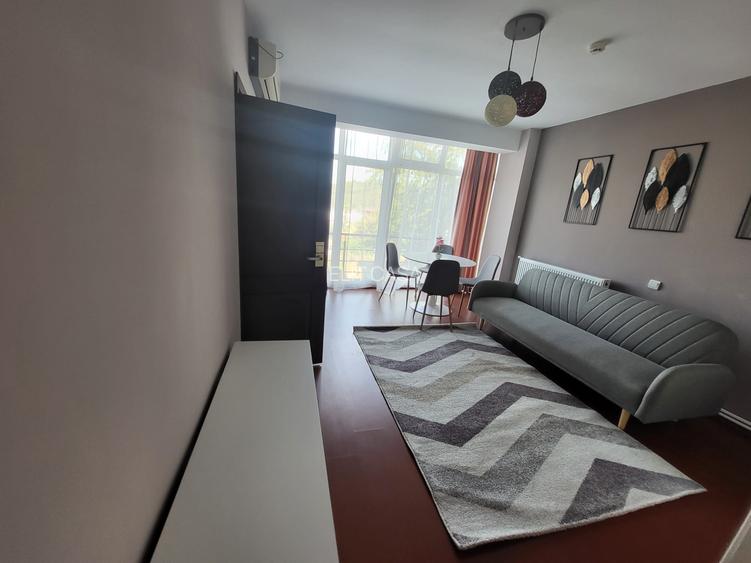 Apartament cu 2 camere, PET FRIENDLY, LOC PARCARE, zona Bucium - HOTEL PLEIADA - 2