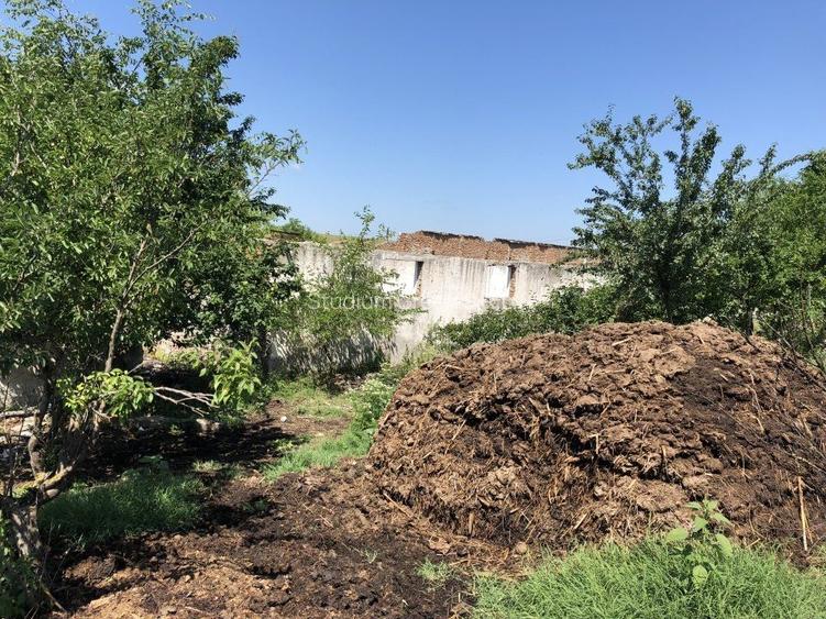 Proprietar vand teren -Teleorman-Radoiesti/Cetate-Comision 0! - 8
