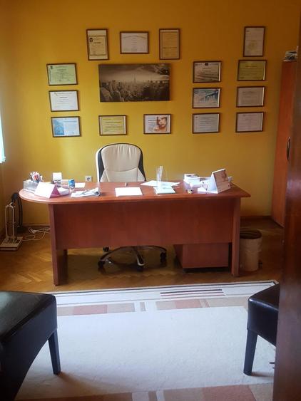 Vanzare vila zona Titulescu cu trei apartamente piscina garaj gradina foisor