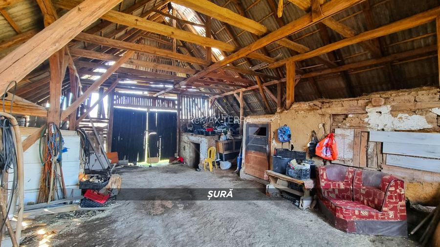Casa de vanzare in Borlesti, Pomi | 37 ari teren | Comision 0% - 17