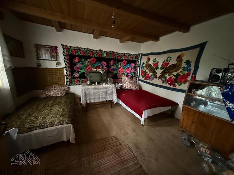 Casa cu teren 5.913 mp de vanzare in Paltin, Vrancea - zona pitoreasca