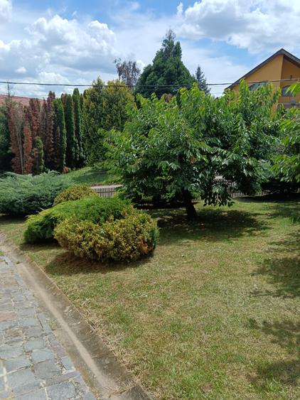 Eleganță, confort și rafinament – Casa ideală în Sântcraiul de Mureș
