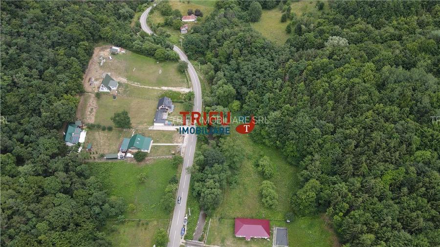 Teren ideal pentru cabană sau pensiune în Poiana Galdei - 2