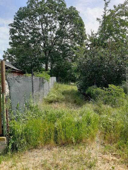 Snagov-Ghermanesti-Teren 2000 mp la sosea - 55 euro/mp