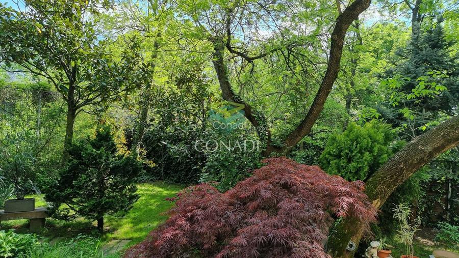 Vila teren 500 mp | Titeica – ideal sediu firma | langa Parcul Verdi - 21