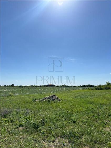 Doua Terenuri, Mosnita Veche, 799/ 712 mp