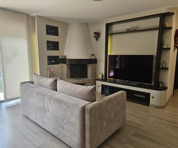 Vila P+1 /curte generoasa /vecinatate Strada Matei Millo/Pet Friendly