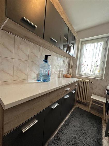 Inchiriere Apartament cu 2 camere Decomandat Podu Ros - 10