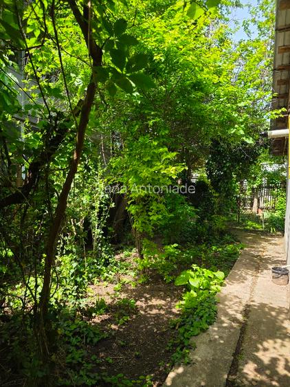 Vand casa, curte mare cu vie, zona Steaua Dunarii - 4