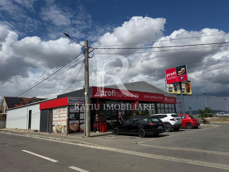 Retail Investment Asset | Profi Tenant | Sânmartin – Oradea