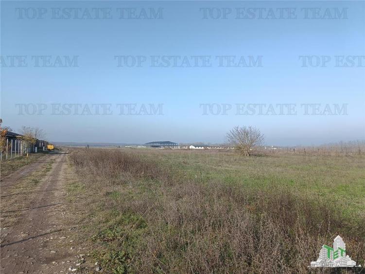 Teren intravilan la DJ 101, in Gruiu, aproape de manastirea Caldarusani, ideal