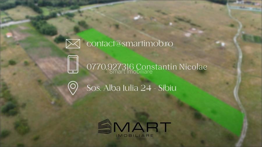 Teren intravilan 5000mp Valea Avrigului - 7