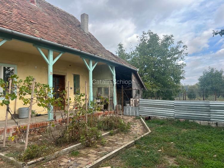 Vând casa bătrânească comuna Liebling - 6