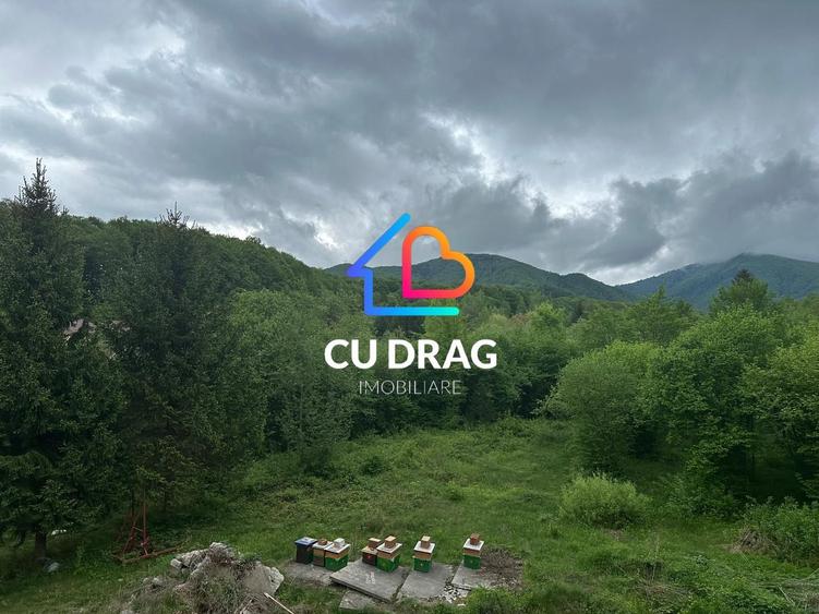 Investiție cu suflet: Pensiune de vânzare pe Valea Avrigului