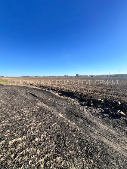 Medgidia -Teren 3 ha , deschidere la DN 22C , vizavi de Fluvimed Medgidia - 10
